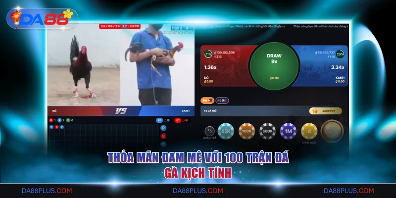 Đá gà Da88 với nhiều trận đấu trực tuyến